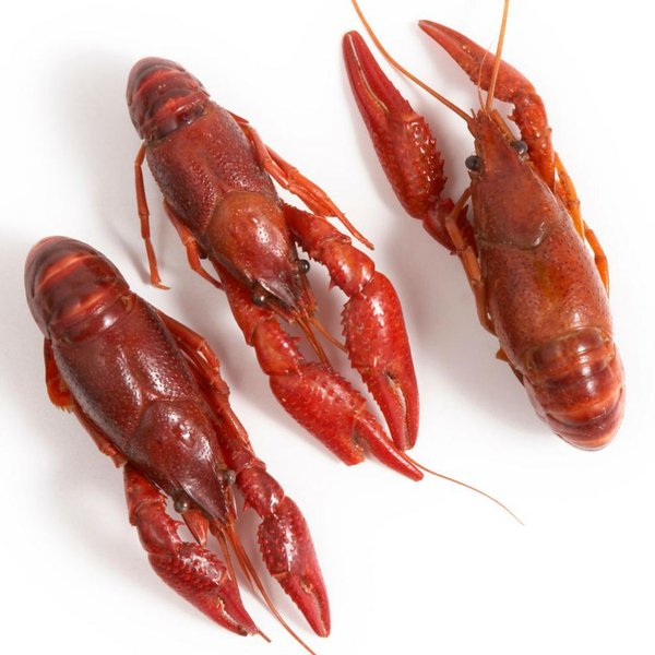 Crawfish Chín/Tôm Hùm Đất